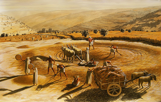 threshing floor