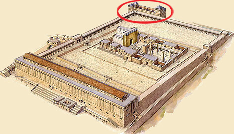 Temple Mount Jesus' Time
